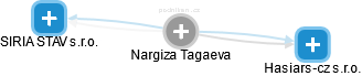 Nargiza Tagaeva - Vizualizace  propojení osoby a firem v obchodním rejstříku