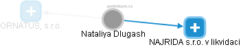 Nataliya Dlugash - Vizualizace  propojení osoby a firem v obchodním rejstříku