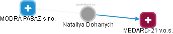 Nataliya Dohanych - Vizualizace  propojení osoby a firem v obchodním rejstříku