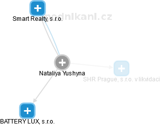  Nataliya Y. - Vizualizace  propojení osoby a firem v obchodním rejstříku