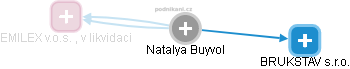 Natalya Buyvol - Vizualizace  propojení osoby a firem v obchodním rejstříku