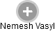 Nemesh Vasyl - Vizualizace  propojení osoby a firem v obchodním rejstříku