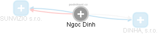 Ngoc Dinh - Vizualizace  propojení osoby a firem v obchodním rejstříku