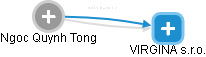 Ngoc Quynh Tong - Vizualizace  propojení osoby a firem v obchodním rejstříku