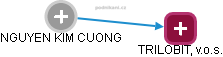 NGUYEN KIM CUONG - Vizualizace  propojení osoby a firem v obchodním rejstříku