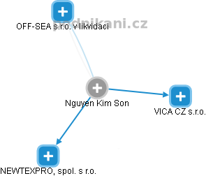  Nguyen S. - Vizualizace  propojení osoby a firem v obchodním rejstříku