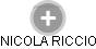 NICOLA RICCIO - Vizualizace  propojení osoby a firem v obchodním rejstříku