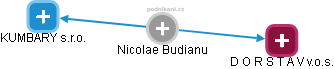 Nicolae Budianu - Vizualizace  propojení osoby a firem v obchodním rejstříku
