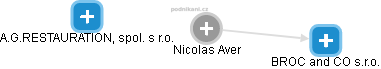 Nicolas Aver - Vizualizace  propojení osoby a firem v obchodním rejstříku