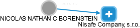 NICOLAS NATHAN C BORENSTEIN - Vizualizace  propojení osoby a firem v obchodním rejstříku