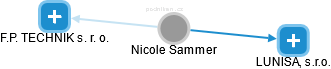 Nicole Sammer - Vizualizace  propojení osoby a firem v obchodním rejstříku