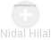 Nidal Hilal - Vizualizace  propojení osoby a firem v obchodním rejstříku