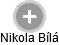  Nikola B. - Vizualizace  propojení osoby a firem v obchodním rejstříku