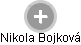 Nikola Bojková - Vizualizace  propojení osoby a firem v obchodním rejstříku