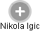 Nikola Igic - Vizualizace  propojení osoby a firem v obchodním rejstříku