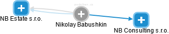Nikolay Babushkin - Vizualizace  propojení osoby a firem v obchodním rejstříku