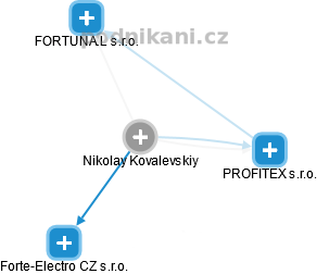 Nikolay Kovalevskiy - Vizualizace  propojení osoby a firem v obchodním rejstříku