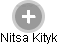 Nitsa Kityk - Vizualizace  propojení osoby a firem v obchodním rejstříku