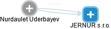 Nurdaulet Uderbayev - Vizualizace  propojení osoby a firem v obchodním rejstříku