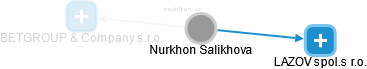 Nurkhon Salikhova - Vizualizace  propojení osoby a firem v obchodním rejstříku