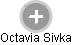 Octavia S. - Vizualizace  propojení osoby a firem v obchodním rejstříku