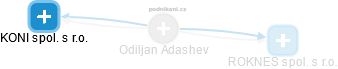 Odiljan Adashev - Vizualizace  propojení osoby a firem v obchodním rejstříku