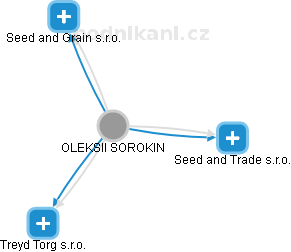 OLEKSII SOROKIN - Vizualizace  propojení osoby a firem v obchodním rejstříku