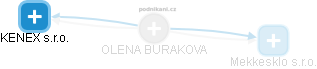 OLENA BURAKOVA - Vizualizace  propojení osoby a firem v obchodním rejstříku