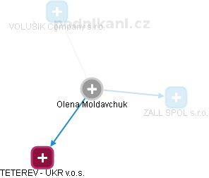  Olena M. - Vizualizace  propojení osoby a firem v obchodním rejstříku