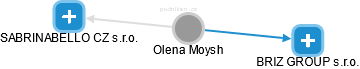 Olena Moysh - Vizualizace  propojení osoby a firem v obchodním rejstříku