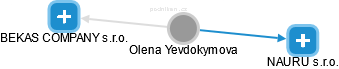 Olena Yevdokymova - Vizualizace  propojení osoby a firem v obchodním rejstříku