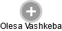 Olesa Vashkeba - Vizualizace  propojení osoby a firem v obchodním rejstříku