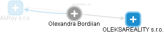 Olexandra Bordiian - Vizualizace  propojení osoby a firem v obchodním rejstříku