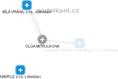 OLGA MITRJUKOVA - Vizualizace  propojení osoby a firem v obchodním rejstříku
