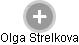 Olga Strelkova - Vizualizace  propojení osoby a firem v obchodním rejstříku