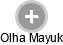 Olha Mayuk - Vizualizace  propojení osoby a firem v obchodním rejstříku