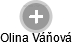 Olina Váňová - Vizualizace  propojení osoby a firem v obchodním rejstříku
