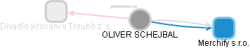 OLIVER SCHEJBAL - Vizualizace  propojení osoby a firem v obchodním rejstříku
