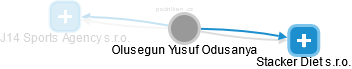 Olusegun Yusuf Odusanya - Vizualizace  propojení osoby a firem v obchodním rejstříku