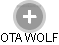 OTA WOLF - Vizualizace  propojení osoby a firem v obchodním rejstříku