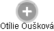 Otilie Oušková - Vizualizace  propojení osoby a firem v obchodním rejstříku