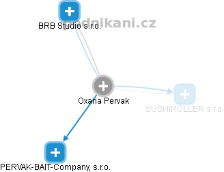 Oxana Pervak - Vizualizace  propojení osoby a firem v obchodním rejstříku