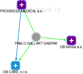 PABLO GALLART GASPAR - Vizualizace  propojení osoby a firem v obchodním rejstříku