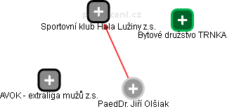 Jiří Olšiak - Vizualizace  propojení osoby a firem v obchodním rejstříku