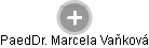  Marcela V. - Vizualizace  propojení osoby a firem v obchodním rejstříku