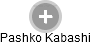 Pashko Kabashi - Vizualizace  propojení osoby a firem v obchodním rejstříku