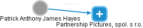 Patrick Anthony James Hayes - Vizualizace  propojení osoby a firem v obchodním rejstříku