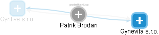 Patrik Brodan - Vizualizace  propojení osoby a firem v obchodním rejstříku