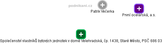  Patrik V. - Vizualizace  propojení osoby a firem v obchodním rejstříku