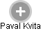 Paval Kvita - Vizualizace  propojení osoby a firem v obchodním rejstříku